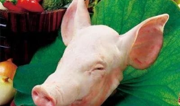 猪头吃瓜爆料图片高清大图