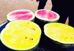 最新吃瓜爆料河北邢台,揭秘背后惊人真相